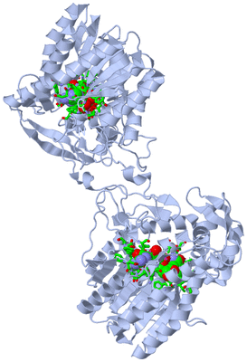 Image Biol. Unit 1 - sites