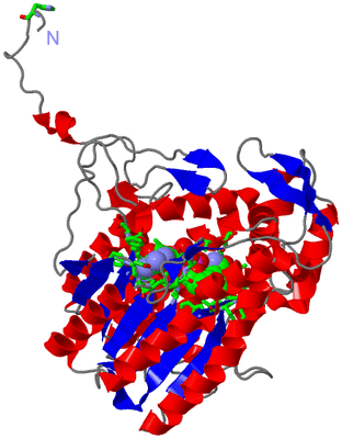 Image Asym. Unit - sites