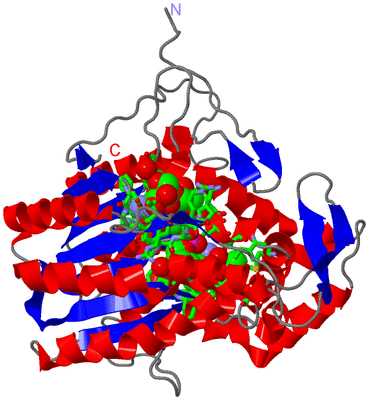 Image Asym./Biol. Unit - sites