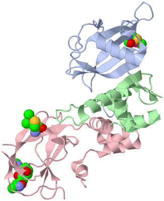 Image Biological Unit 1