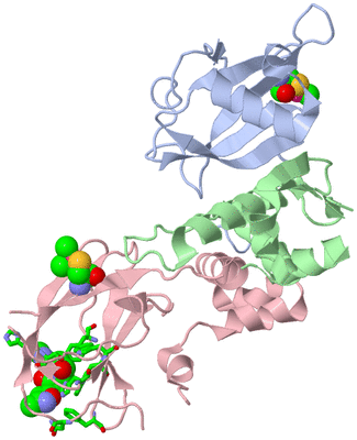 Image Biol. Unit 1 - sites