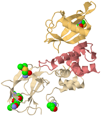 Image Biological Unit 2