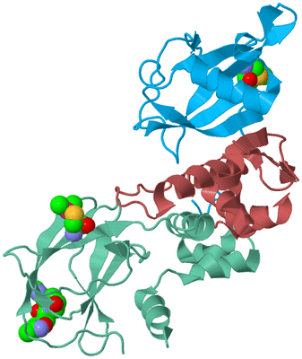 Image Biological Unit 3