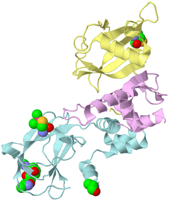 Image Biological Unit 4