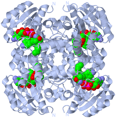 Image Biological Unit 1