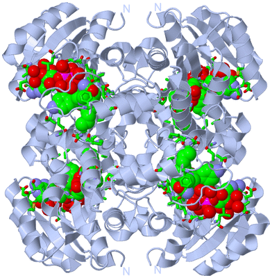 Image Biol. Unit 1 - sites