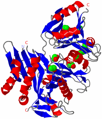 Image Asym./Biol. Unit