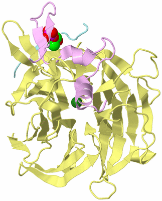 Image Biological Unit 1