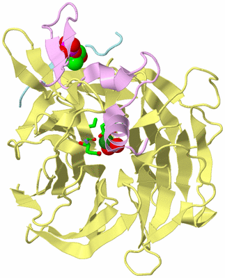 Image Biol. Unit 1 - sites