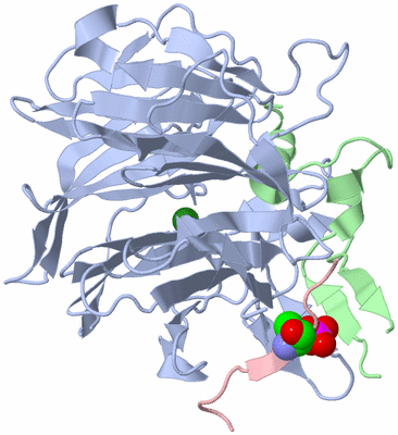 Image Biological Unit 2