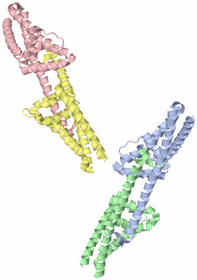 Image Asymmetric Unit