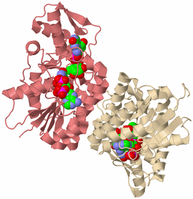 Image Biological Unit 1