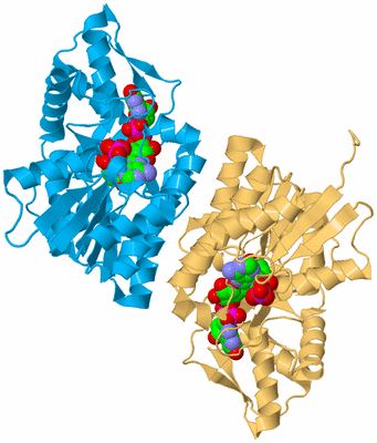 Image Biological Unit 2