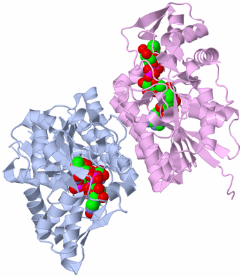 Image Biological Unit 3