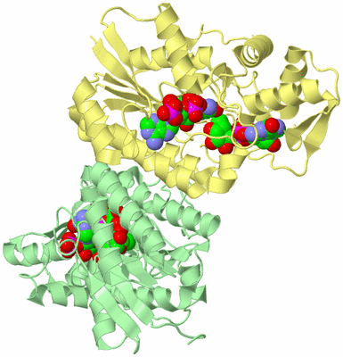 Image Biological Unit 4