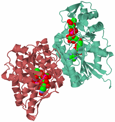 Image Biological Unit 5