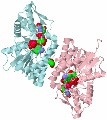 Image Biological Unit 6