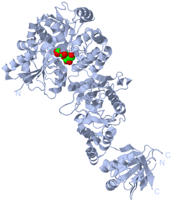 Image Biological Unit 1