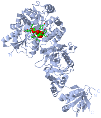 Image Biol. Unit 1 - sites