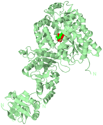 Image Biological Unit 2