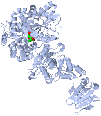 Image Biological Unit 1