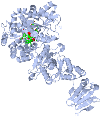 Image Biol. Unit 1 - sites