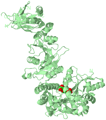 Image Biological Unit 2