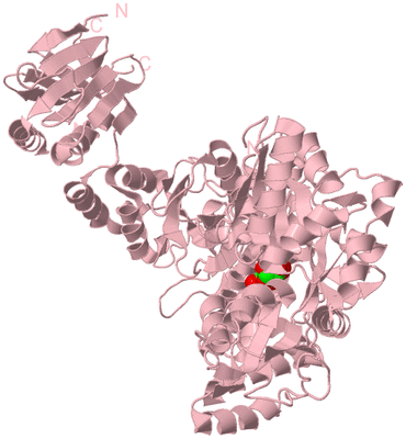 Image Biological Unit 3