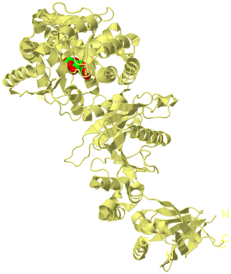 Image Biological Unit 4