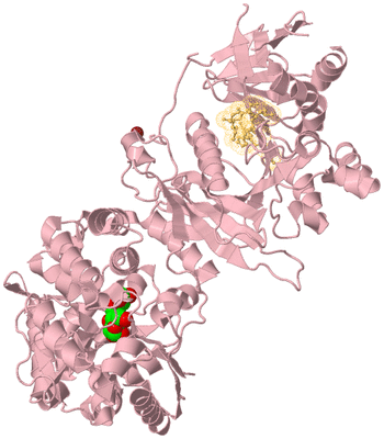 Image Biological Unit 1