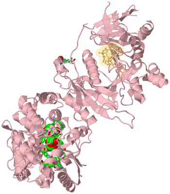 Image Biol. Unit 1 - sites