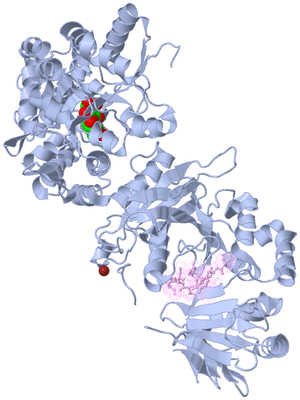 Image Biological Unit 2