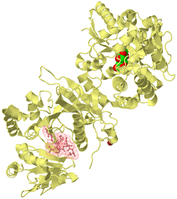 Image Biological Unit 3