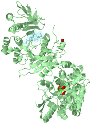 Image Biological Unit 4