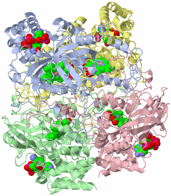 Image Asym./Biol. Unit