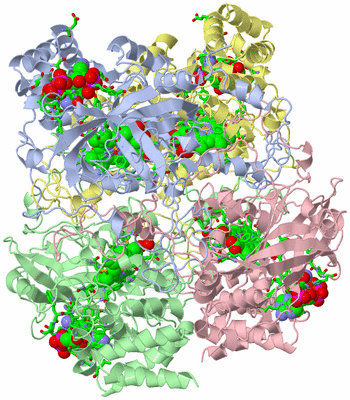 Image Asym./Biol. Unit - sites