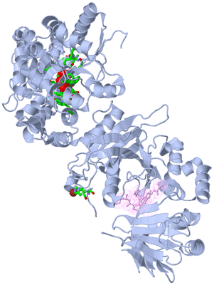 Image Biol. Unit 1 - sites