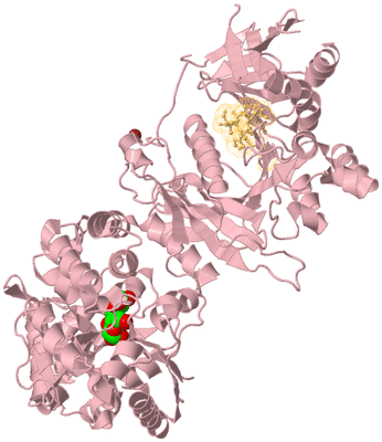 Image Biological Unit 2