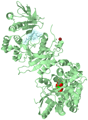 Image Biological Unit 3