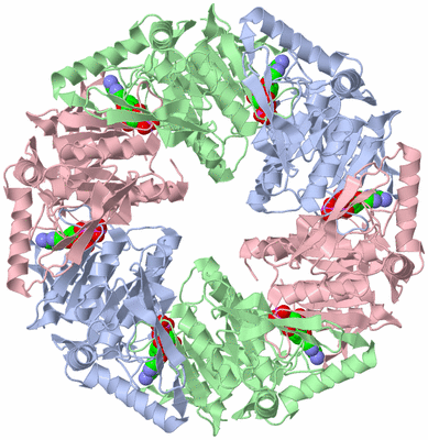 Image Biological Unit 1