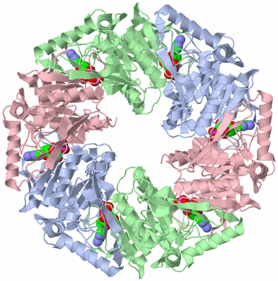 Image Biological Unit 1