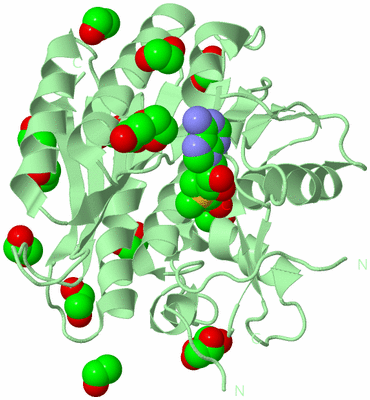 Image Biological Unit 2