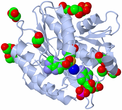 Image Biological Unit 1