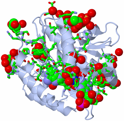 Image Biol. Unit 1 - sites