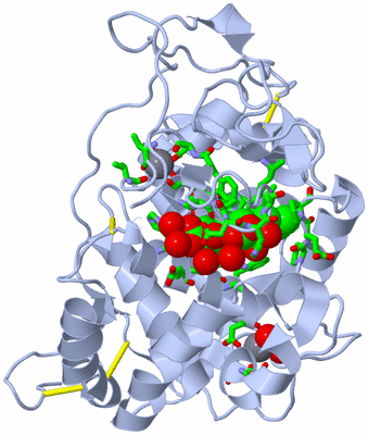 Image Biol. Unit 1 - sites