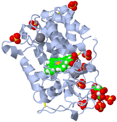 Image Biological Unit 1