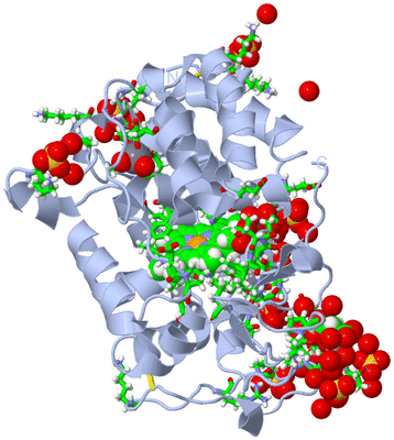 Image Biol. Unit 1 - sites