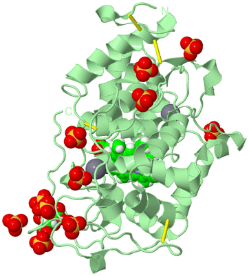 Image Biological Unit 2