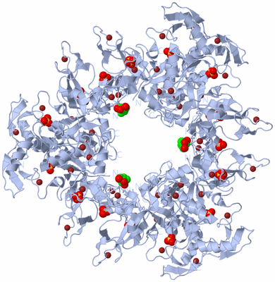 Image Biological Unit 1