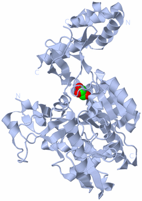 Image Biological Unit 1